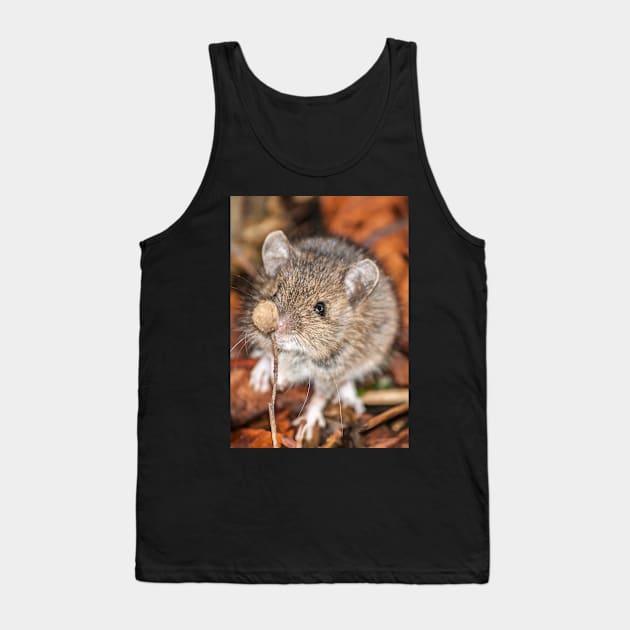 Wood Mouse on Woodland Floor Photo Tank Top by CreativeNatureM